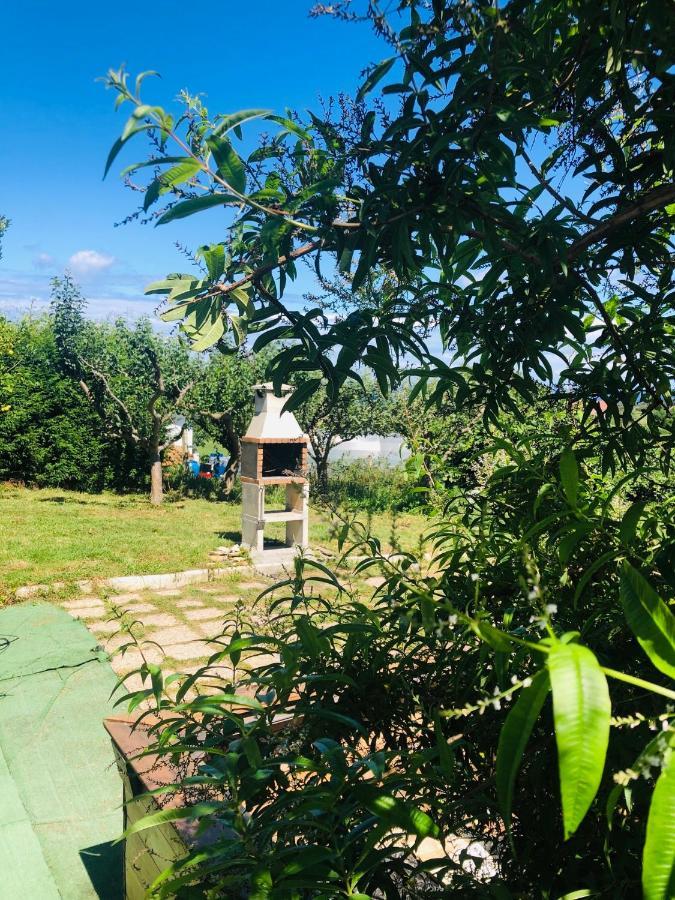 הוילה Albuerne Camelia Casina Rural מראה חיצוני תמונה